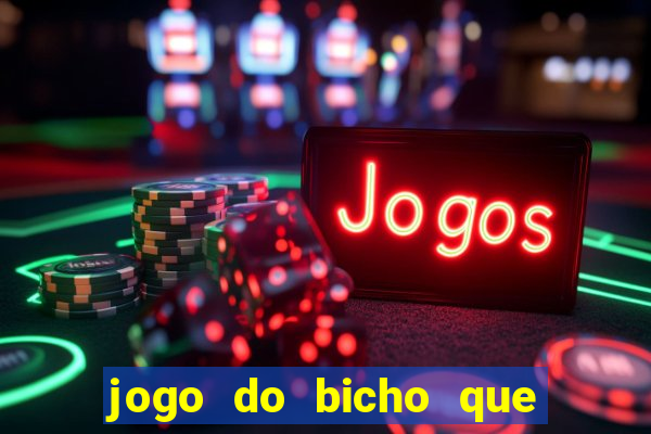 jogo do bicho que paga no pix